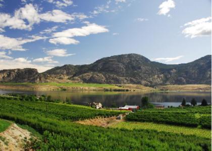 Ciliegia Villa Osoyoos Extérieur photo